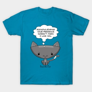 Doesn't Mean I Like You. T-Shirt